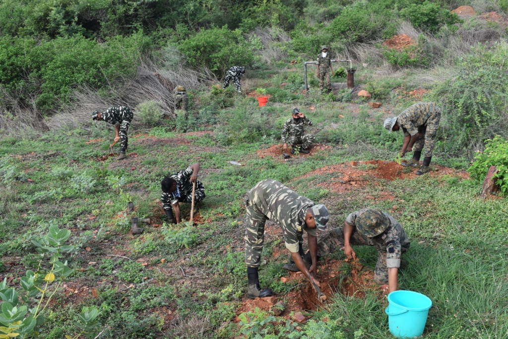  Tree Plantation 1