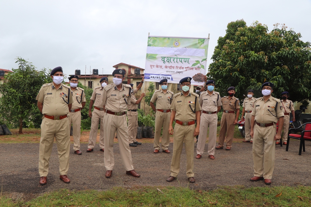   Tree plantation
