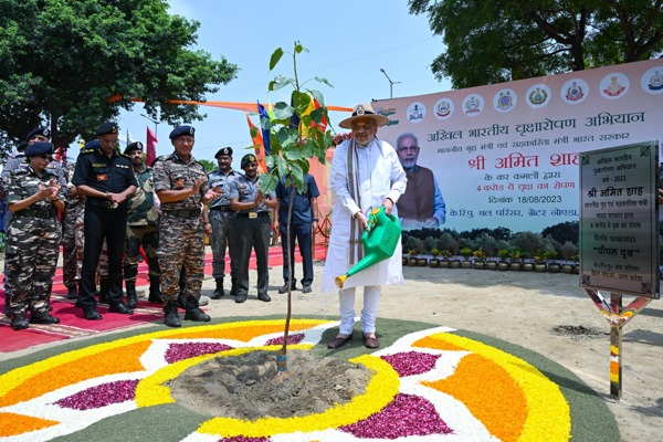   अखिल भारतीय  वृक्षारोपण अभियान