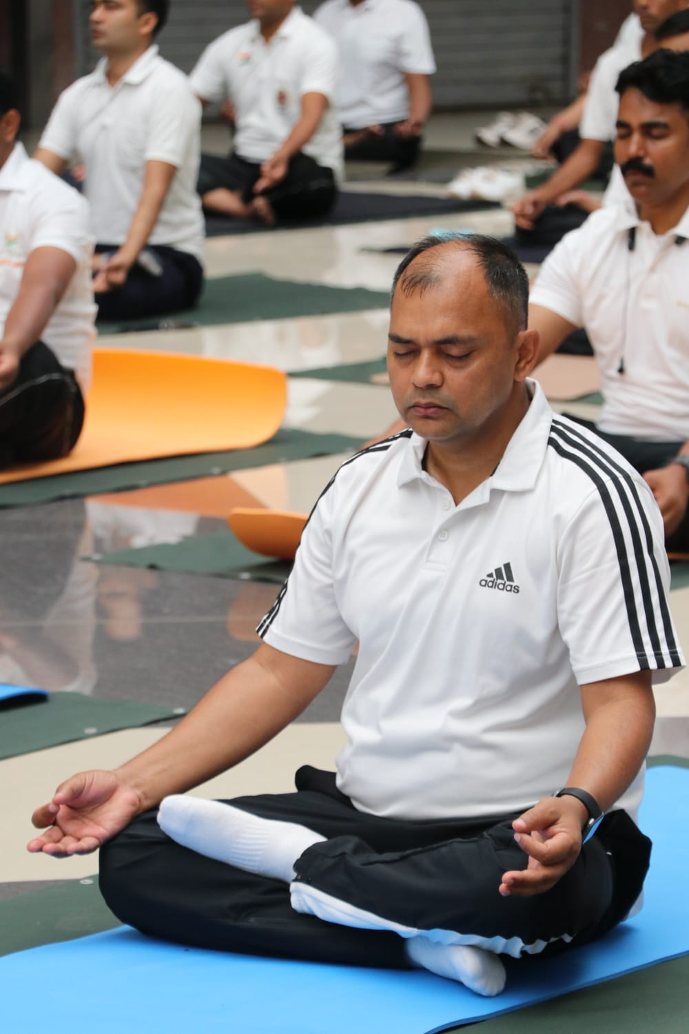 YOGA DIWAS CG SECTOR