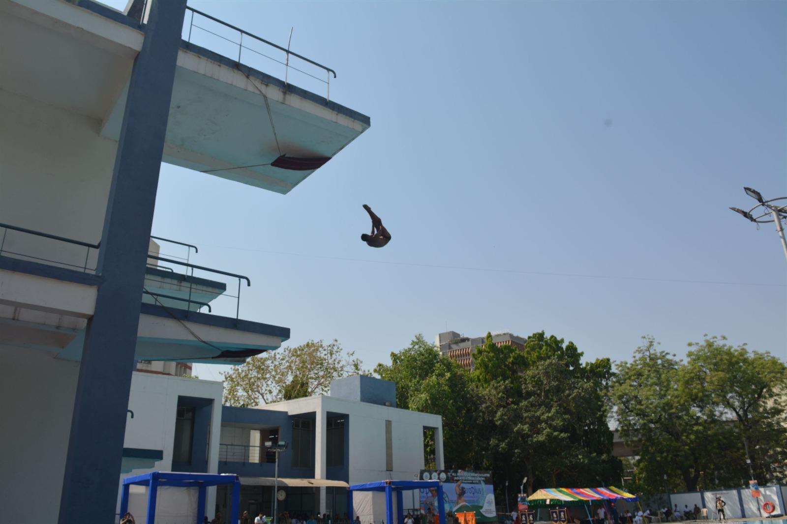   Glimpses of Diving 