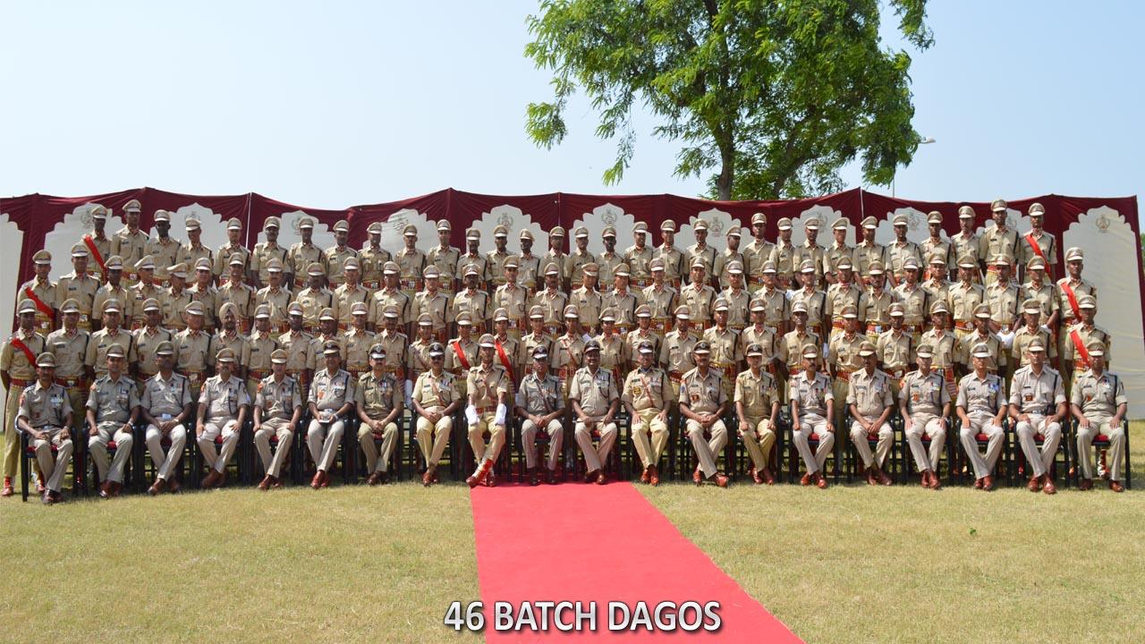   46 BATCH DAGOs