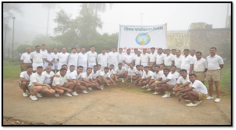  Special Plantation Drive