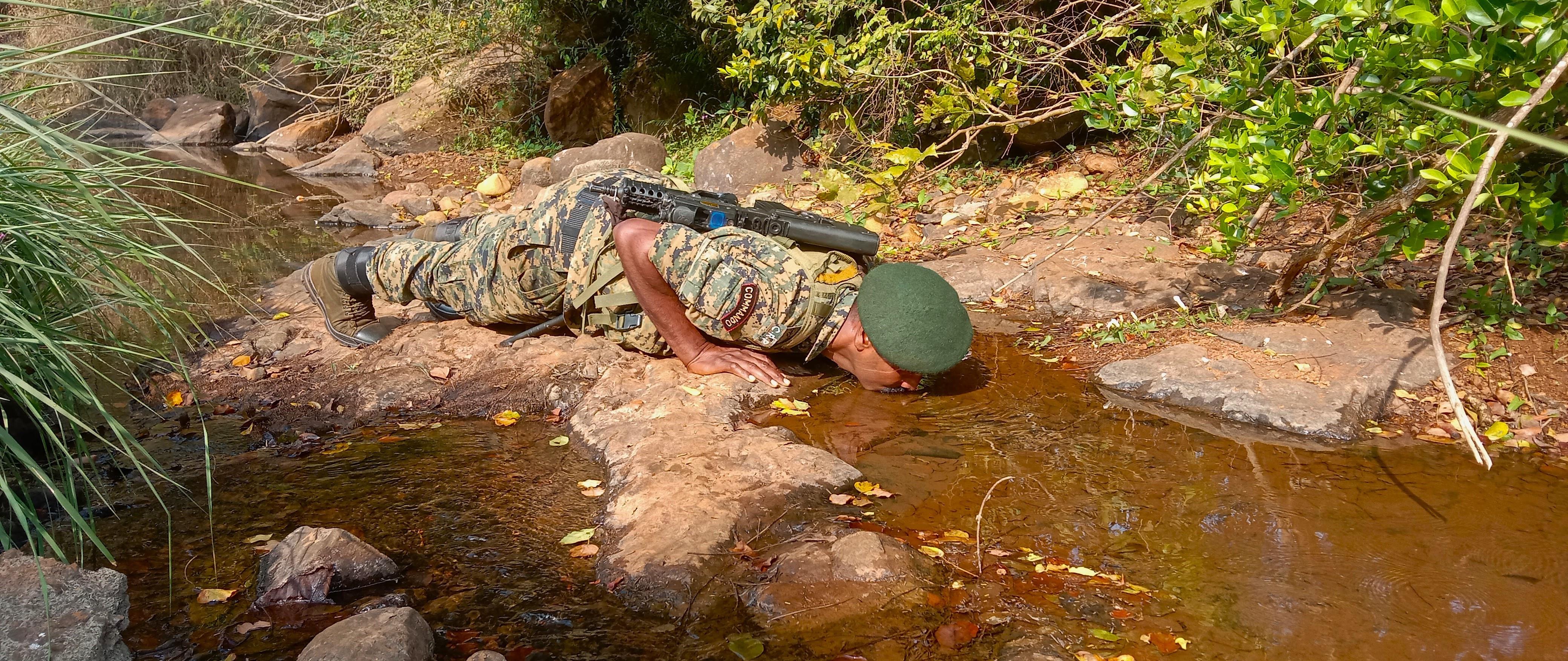 Survival of the fittest