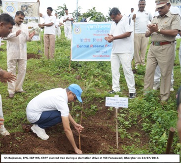 Tree Plantation Drive