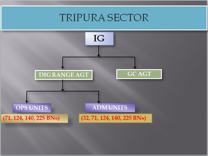 Manipur & Nagaland Organization Structure