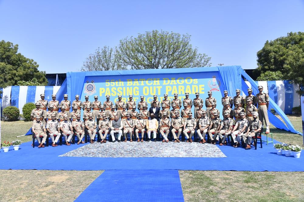 52 Batch Dagos