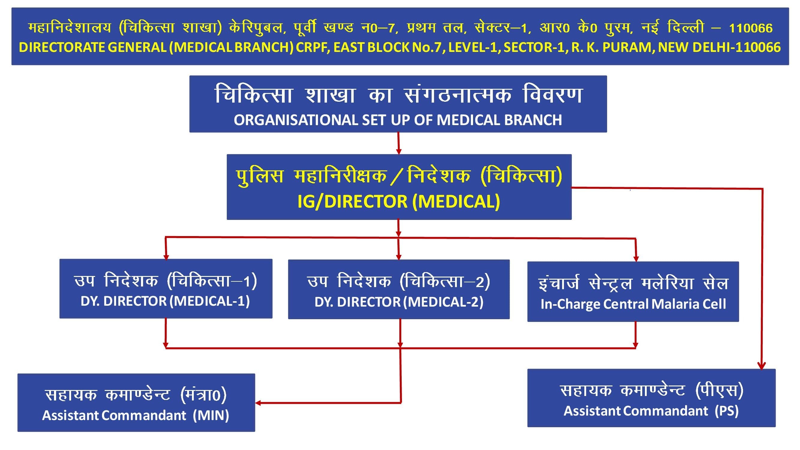Medical Directorate Hierarchy